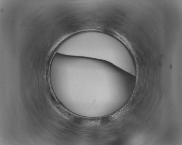 X0000064060155200601270942