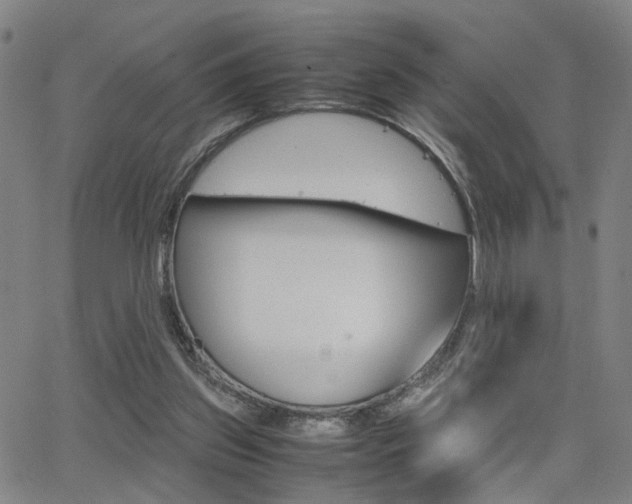 X0000064060157200601270942