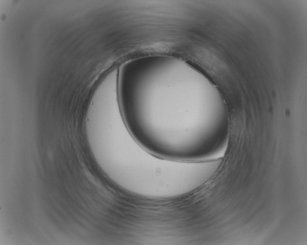 X0000064060168200601270942