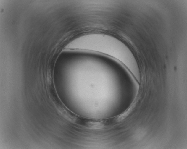 X0000064060170200601270942