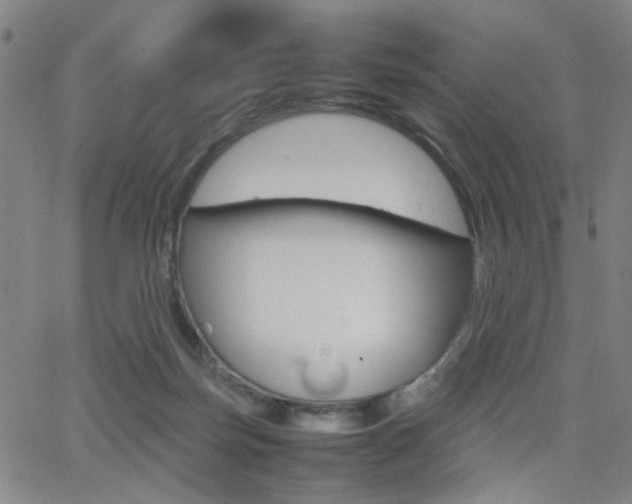 X0000064060171200601270942
