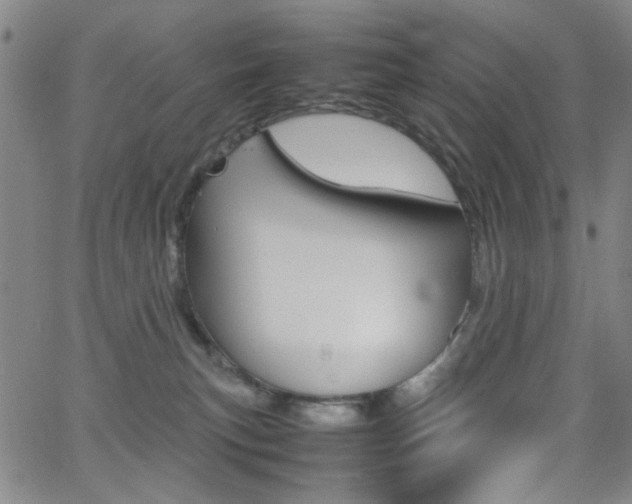 X0000064060183200601270943
