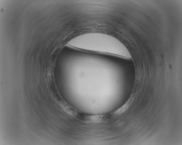 X0000064060184200601270943