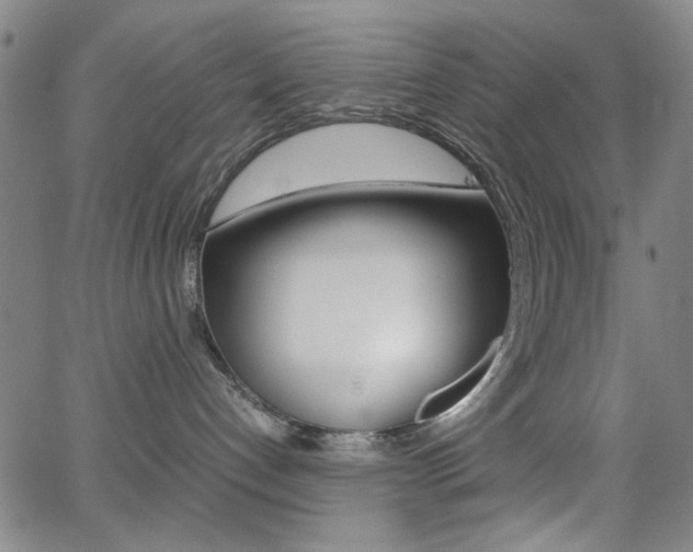 X0000064060192200601270943