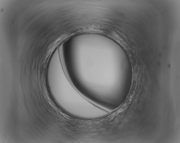 X0000064060193200601270942