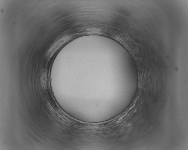 X0000064060194200601270942