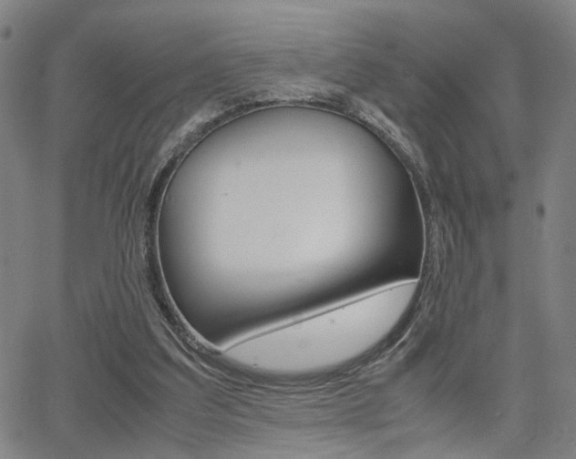 X0000064060203200601270942