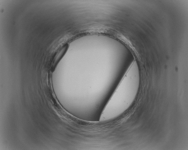 X0000064060205200601270942