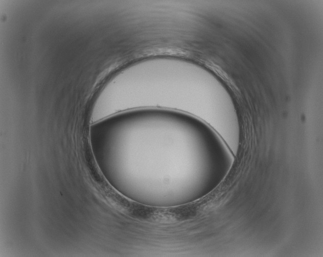X0000064060207200601270942
