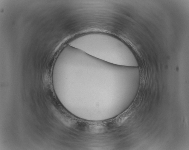 X0000064060208200601270942
