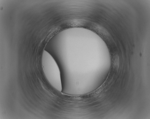 X0000064060214200601270942