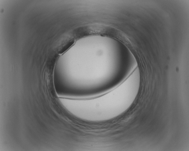 X0000064060215200601270942
