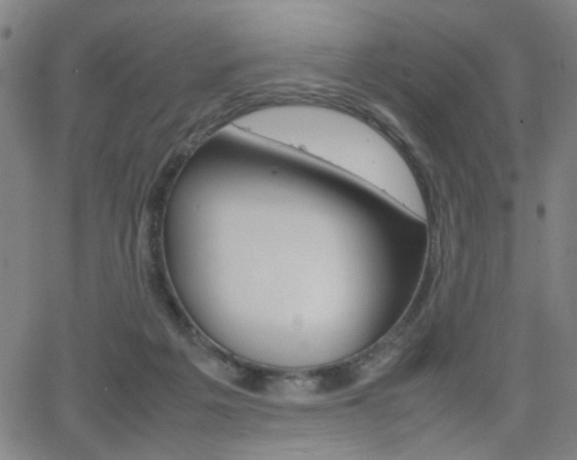 X0000064060217200601270942