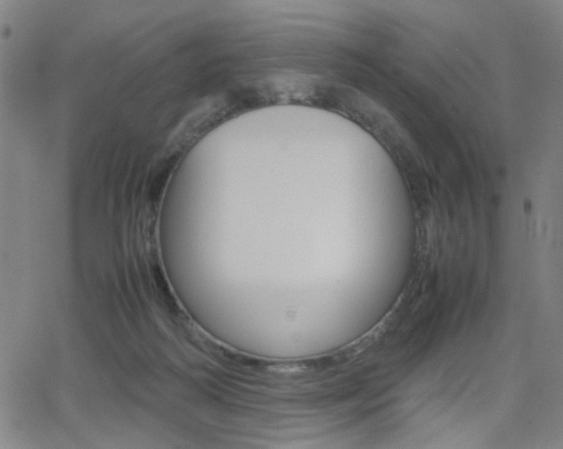 X0000064060218200601270942