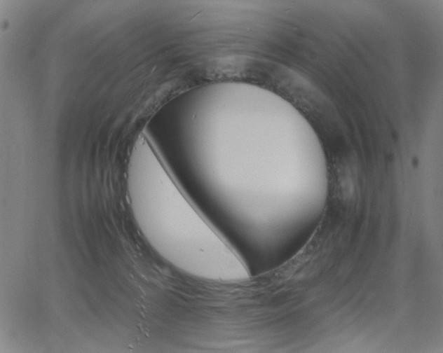 X0000064060224200601270942