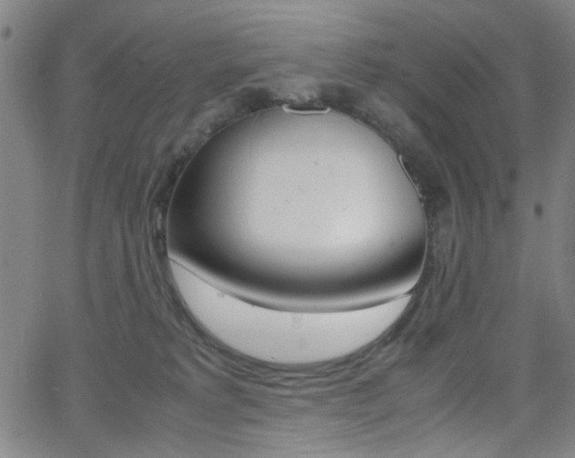 X0000064060229200601270941