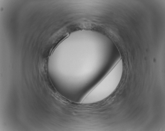X0000064060233200601270941