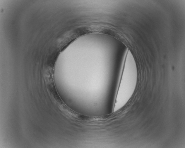 X0000064060237200601270941