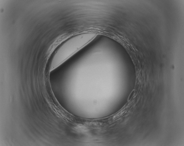 X0000064060242200601270940
