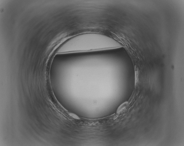 X0000064060243200601270941