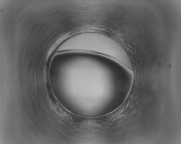 X0000064060244200601270941