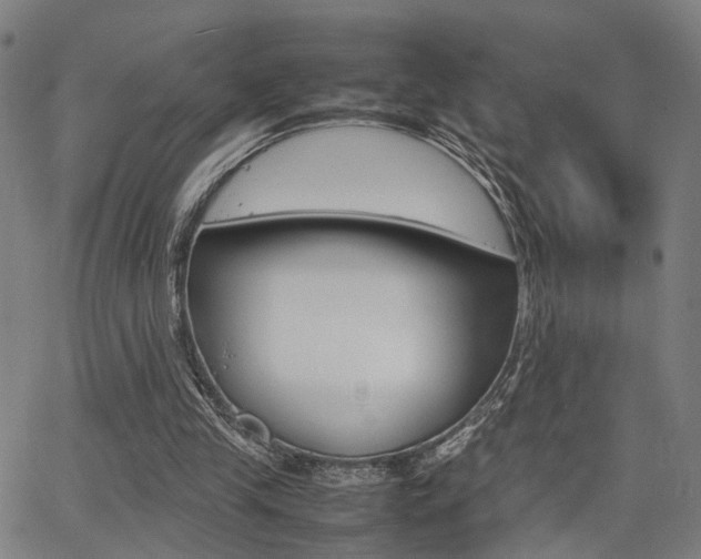 X0000064060245200601270941