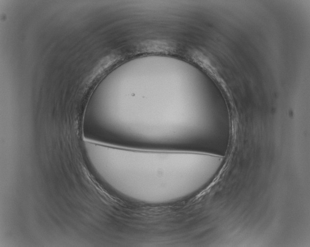 X0000064060249200601270941