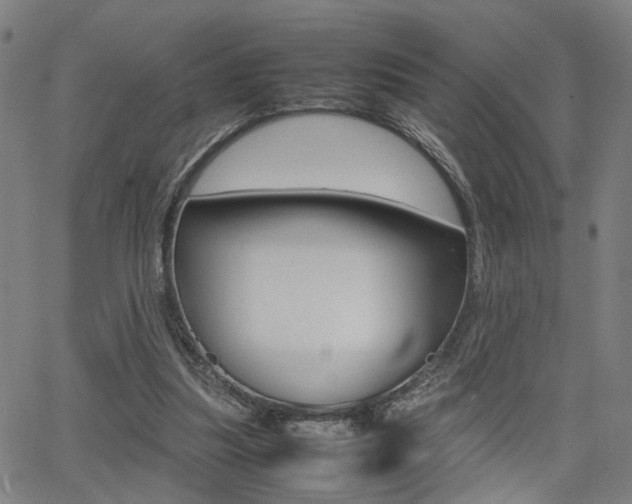 X0000064060251200601270941
