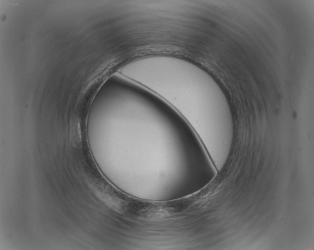 X0000064060254200601270941