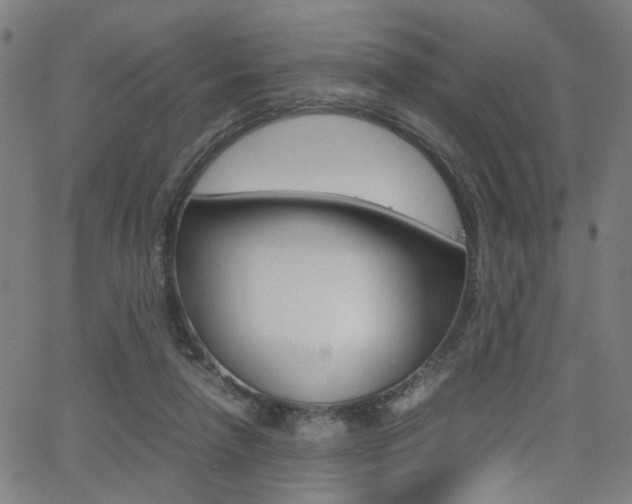 X0000064060258200601270941