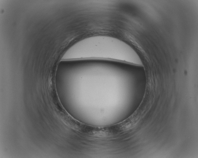 X0000064060259200601270941