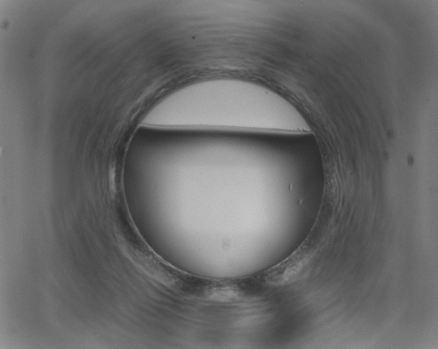 X0000064060262200601270941