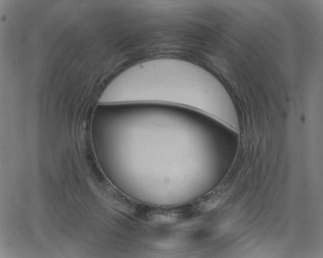 X0000064060263200601270941