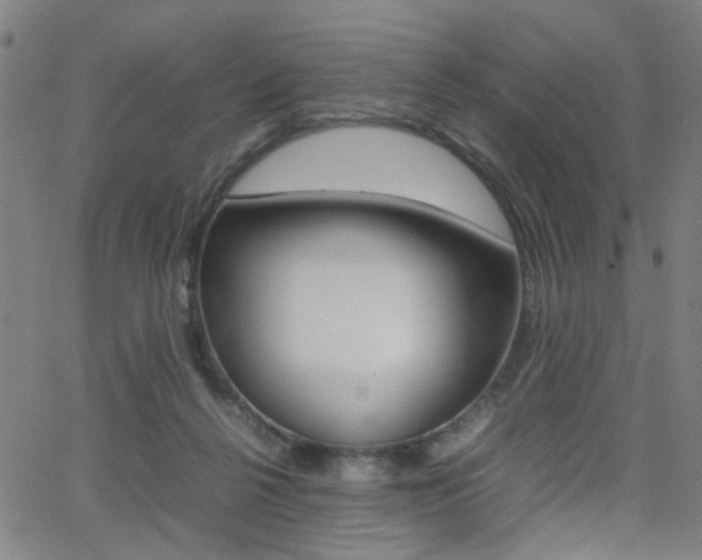 X0000064060264200601270941
