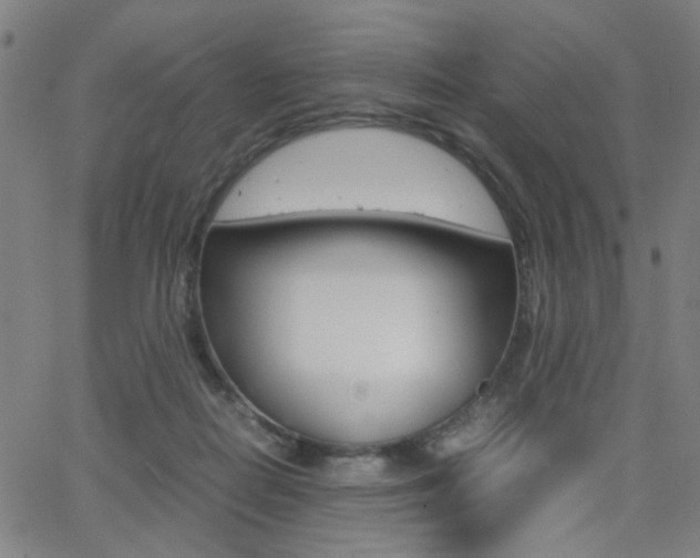 X0000064060266200601270941