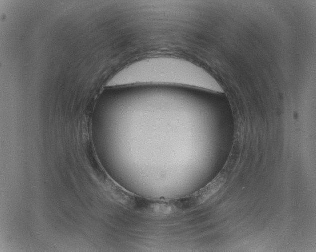 X0000064060272200601270941