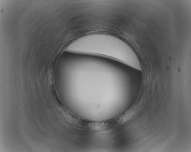 X0000064060273200601270941