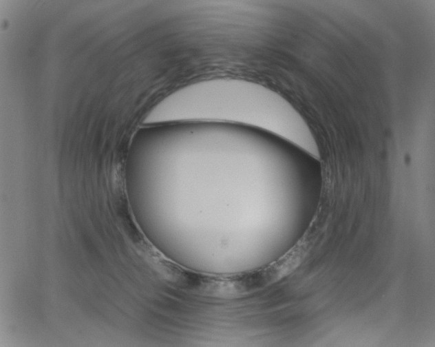 X0000064060276200601270941