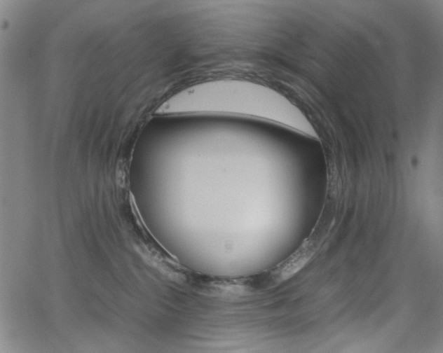 X0000064060284200601270941