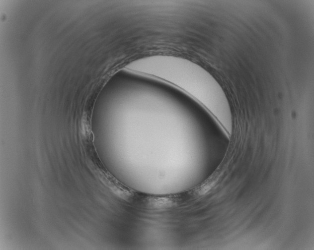 X0000064060287200601270941