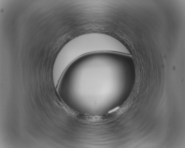 X0000064060288200601270941