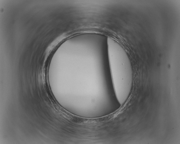 X0000064060294200601270940