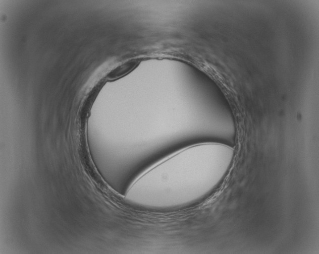 X0000064060295200601270940