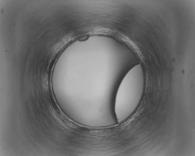 X0000064060298200601270940