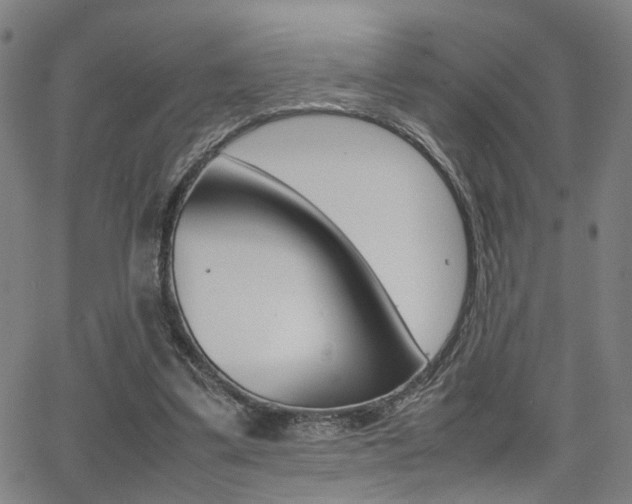 X0000064060299200601270940