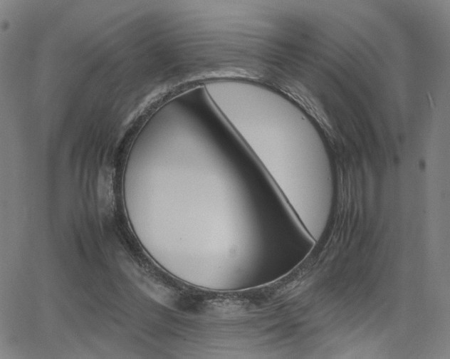 X0000064060300200601270940
