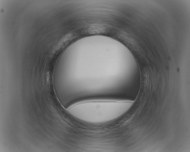 X0000064060308200601270940