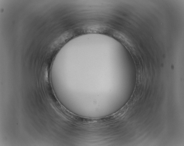 X0000064060310200601270940