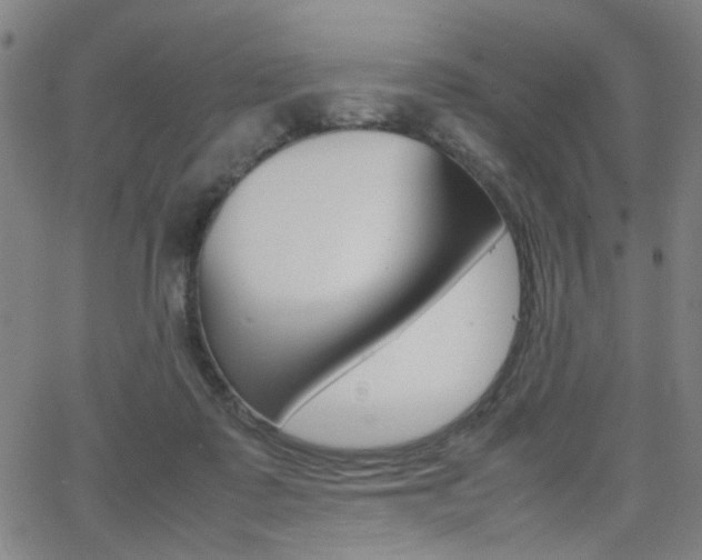 X0000064060315200601270940