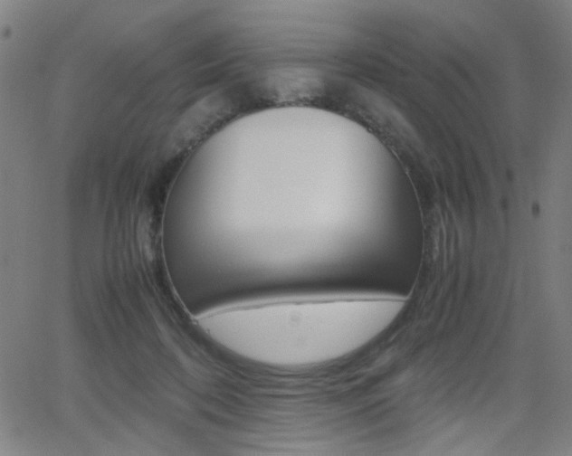 X0000064060316200601270940